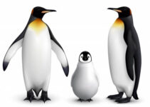 Los pingüinos enemigos